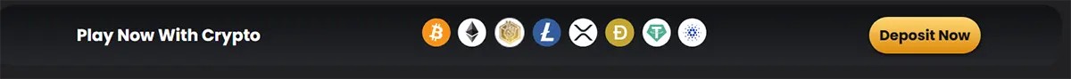 Cryptocurrency payment options displayed on website header