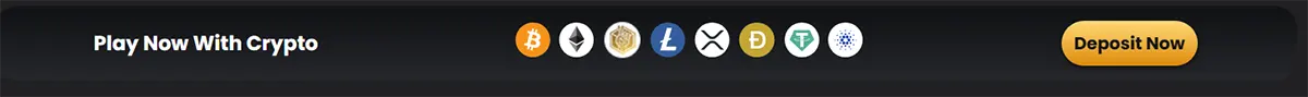 Cryptocurrency payment options displayed on website header